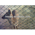 galvanized chicken hexagonal mesh netting /hexagonal decorative chicken wire mesh